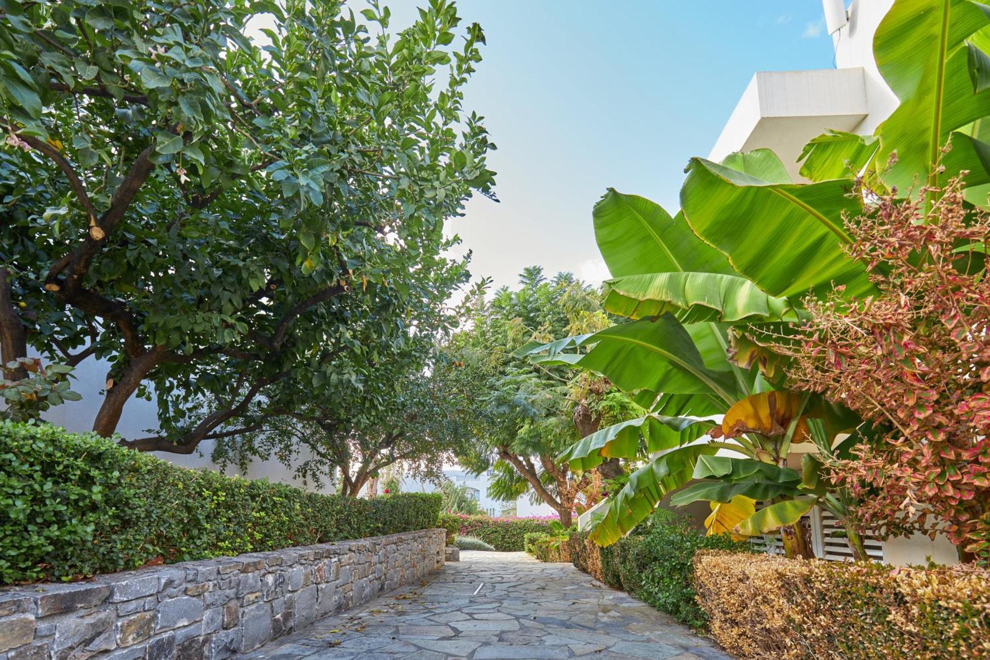 Kyknos Beach Hotel & Bungalows 玛利亚 外观 照片